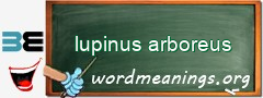 WordMeaning blackboard for lupinus arboreus